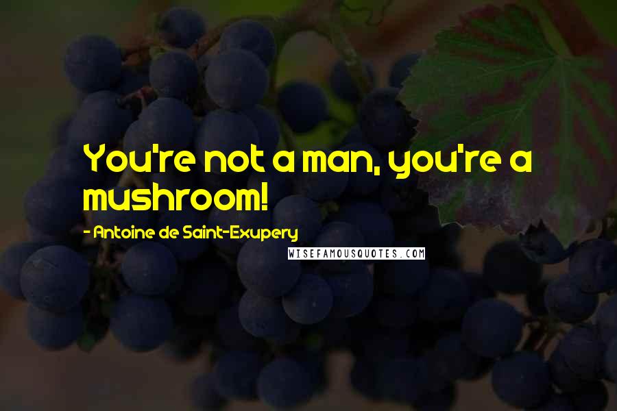 Antoine De Saint-Exupery Quotes: You're not a man, you're a mushroom!