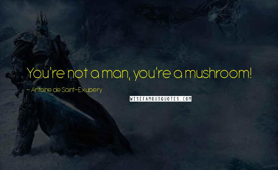 Antoine De Saint-Exupery Quotes: You're not a man, you're a mushroom!