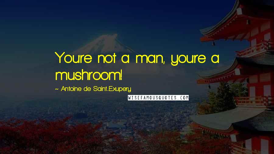 Antoine De Saint-Exupery Quotes: You're not a man, you're a mushroom!