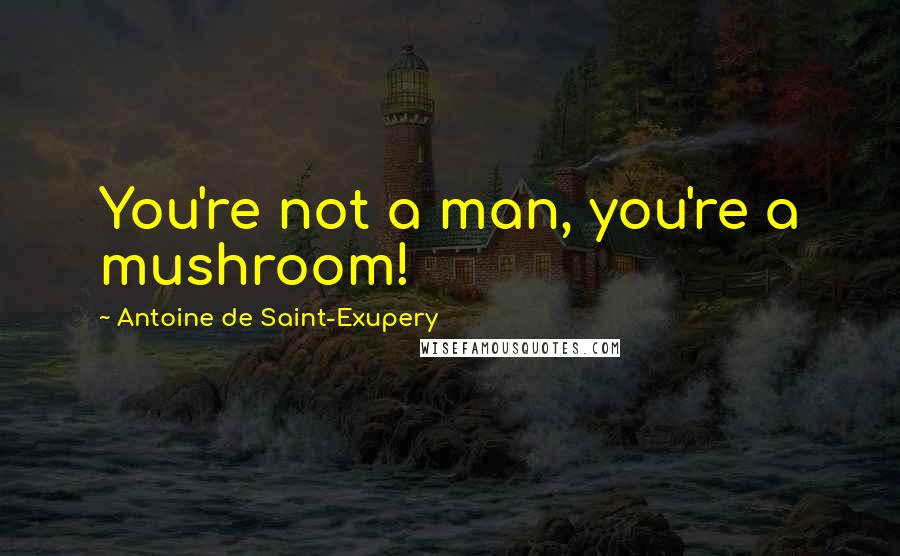 Antoine De Saint-Exupery Quotes: You're not a man, you're a mushroom!