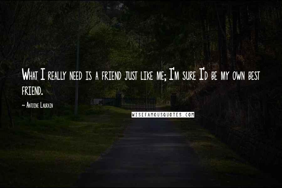 Antoine Laurain Quotes: What I really need is a friend just like me; I'm sure I'd be my own best friend.