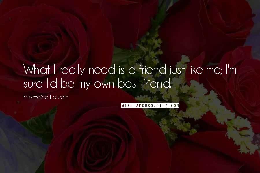 Antoine Laurain Quotes: What I really need is a friend just like me; I'm sure I'd be my own best friend.