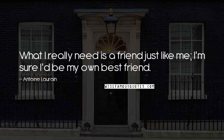 Antoine Laurain Quotes: What I really need is a friend just like me; I'm sure I'd be my own best friend.