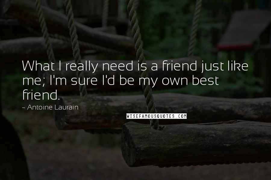 Antoine Laurain Quotes: What I really need is a friend just like me; I'm sure I'd be my own best friend.