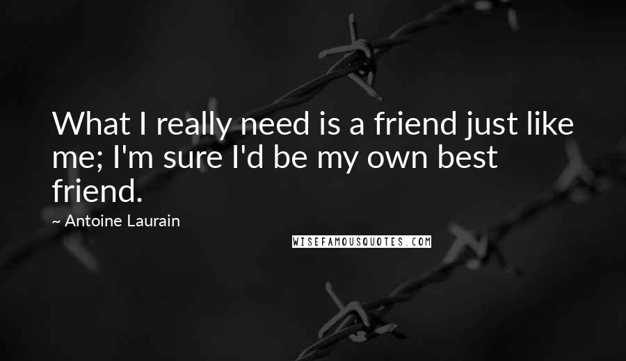 Antoine Laurain Quotes: What I really need is a friend just like me; I'm sure I'd be my own best friend.