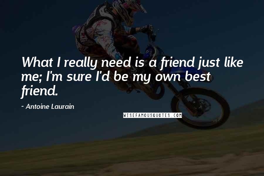 Antoine Laurain Quotes: What I really need is a friend just like me; I'm sure I'd be my own best friend.