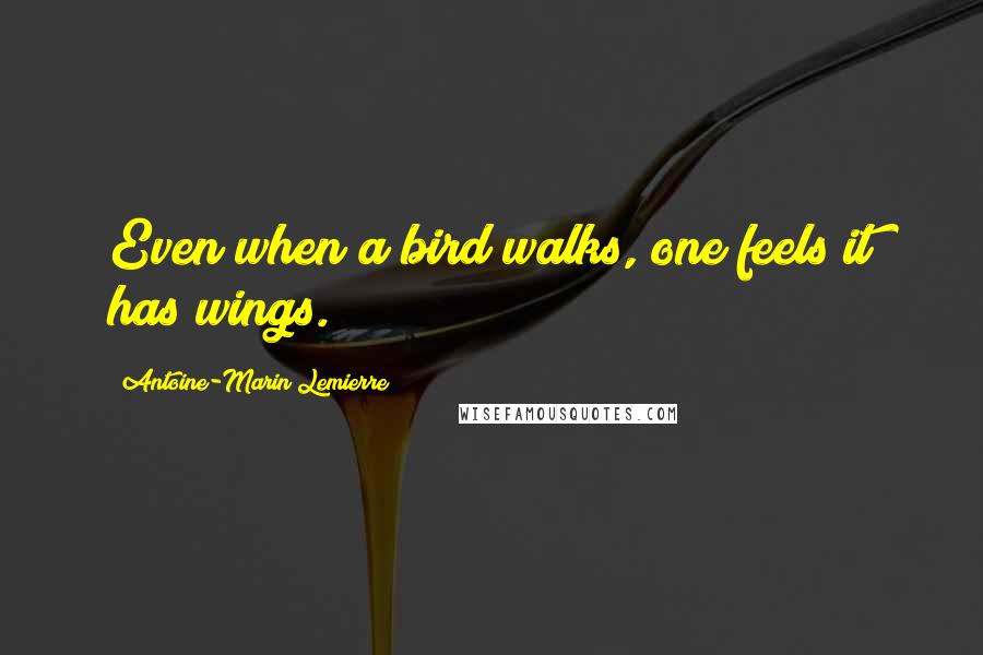 Antoine-Marin Lemierre Quotes: Even when a bird walks, one feels it has wings.