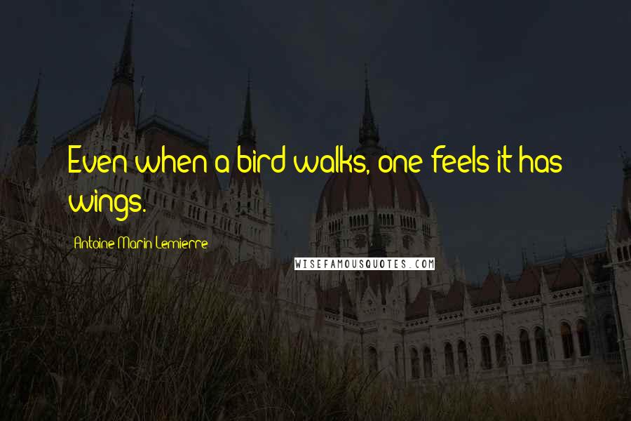 Antoine-Marin Lemierre Quotes: Even when a bird walks, one feels it has wings.