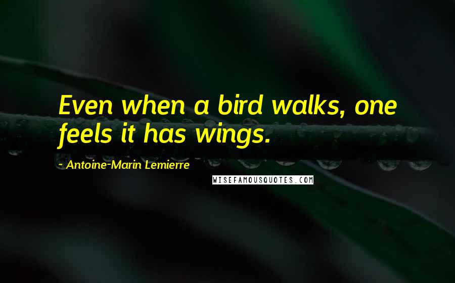 Antoine-Marin Lemierre Quotes: Even when a bird walks, one feels it has wings.