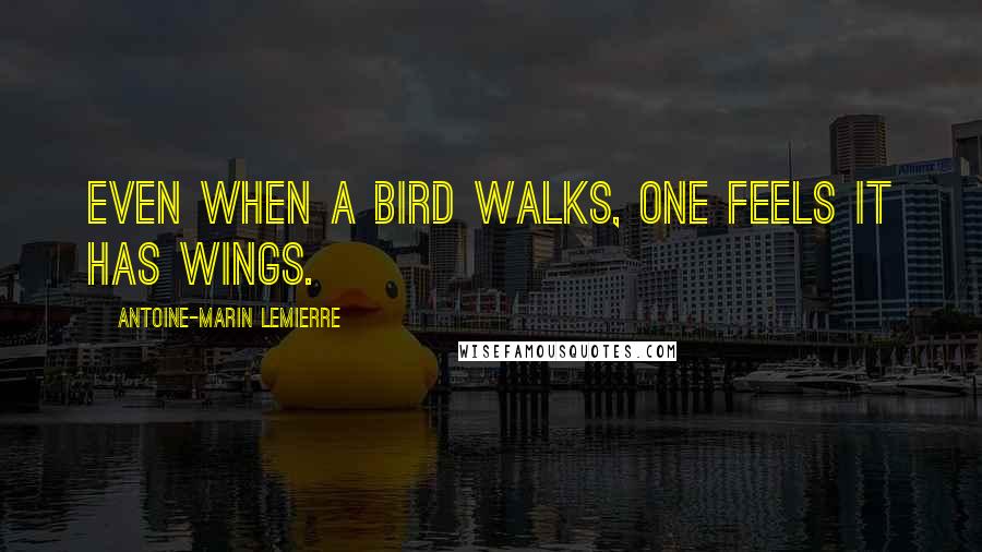 Antoine-Marin Lemierre Quotes: Even when a bird walks, one feels it has wings.