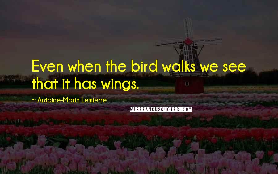 Antoine-Marin Lemierre Quotes: Even when the bird walks we see that it has wings.