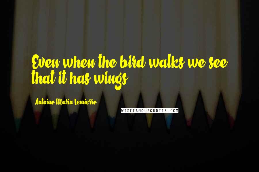 Antoine-Marin Lemierre Quotes: Even when the bird walks we see that it has wings.