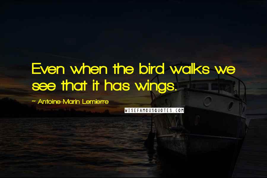 Antoine-Marin Lemierre Quotes: Even when the bird walks we see that it has wings.