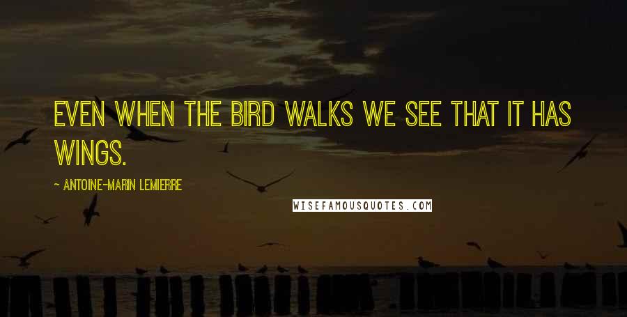 Antoine-Marin Lemierre Quotes: Even when the bird walks we see that it has wings.