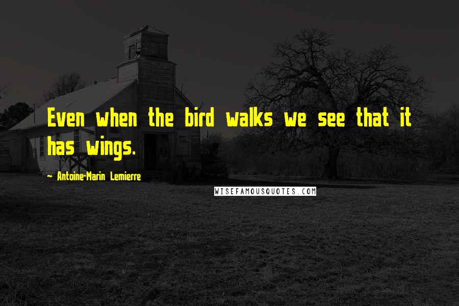 Antoine-Marin Lemierre Quotes: Even when the bird walks we see that it has wings.