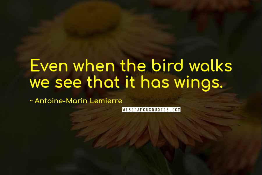 Antoine-Marin Lemierre Quotes: Even when the bird walks we see that it has wings.