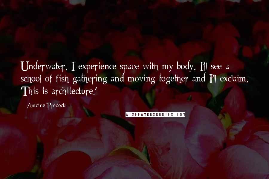 Antoine Predock Quotes: Underwater, I experience space with my body. I'll see a school of fish gathering and moving together and I'll exclaim, 'This is architecture.'