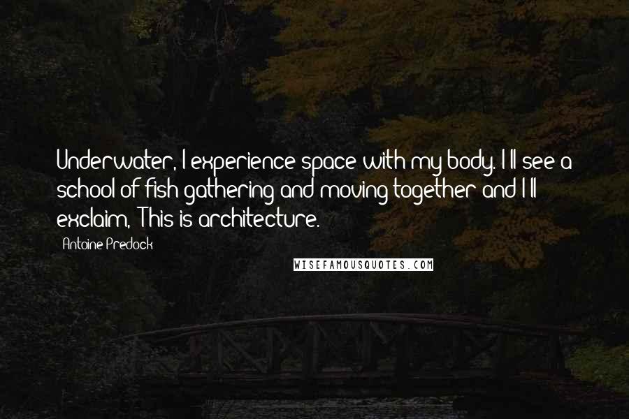 Antoine Predock Quotes: Underwater, I experience space with my body. I'll see a school of fish gathering and moving together and I'll exclaim, 'This is architecture.'