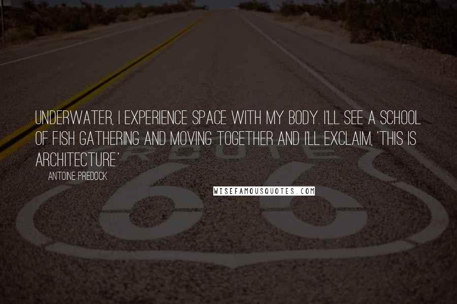 Antoine Predock Quotes: Underwater, I experience space with my body. I'll see a school of fish gathering and moving together and I'll exclaim, 'This is architecture.'