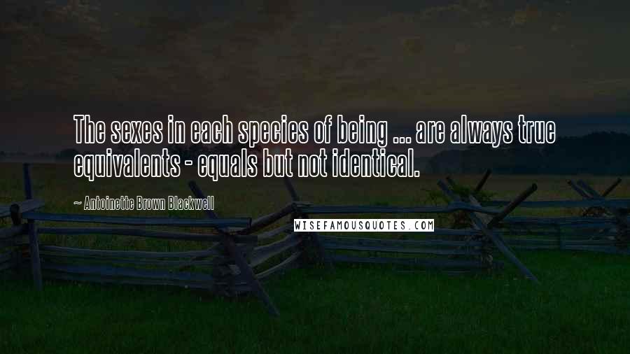 Antoinette Brown Blackwell Quotes: The sexes in each species of being ... are always true equivalents - equals but not identical.