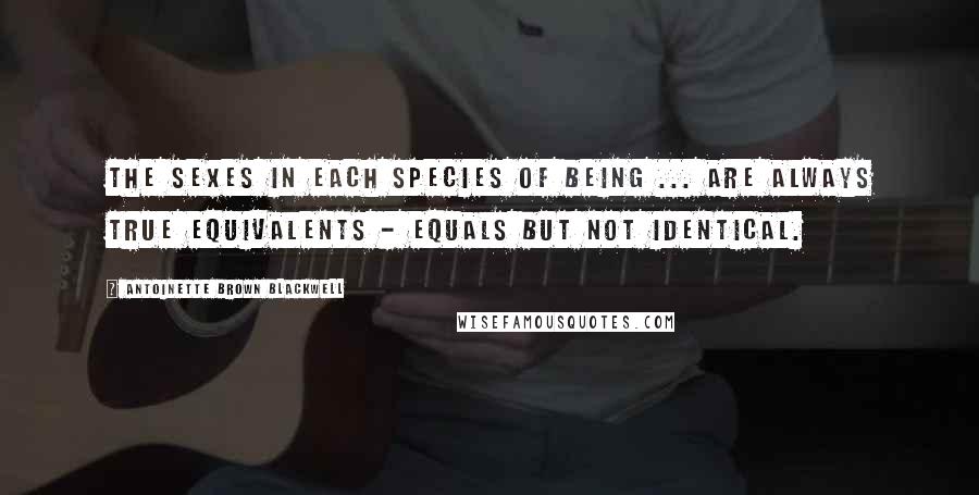 Antoinette Brown Blackwell Quotes: The sexes in each species of being ... are always true equivalents - equals but not identical.