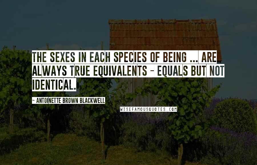 Antoinette Brown Blackwell Quotes: The sexes in each species of being ... are always true equivalents - equals but not identical.