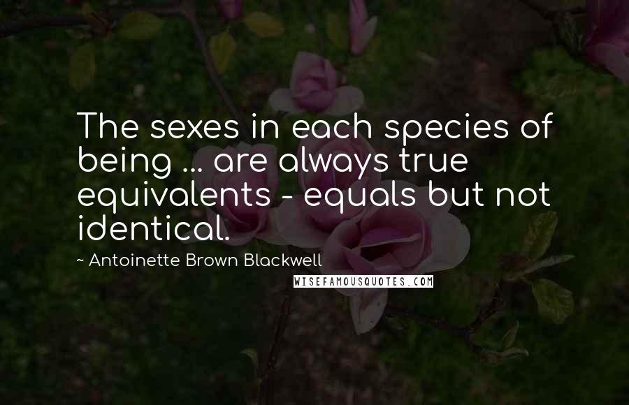 Antoinette Brown Blackwell Quotes: The sexes in each species of being ... are always true equivalents - equals but not identical.