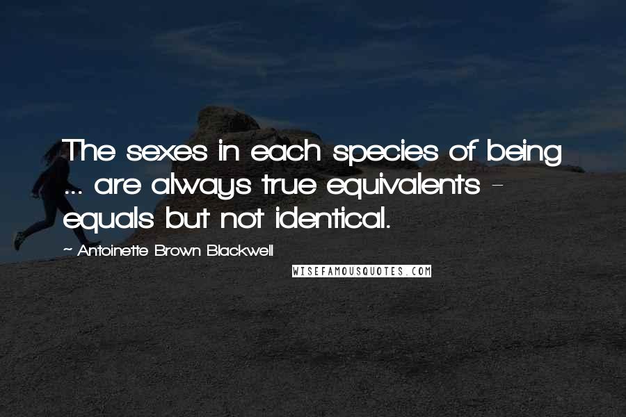 Antoinette Brown Blackwell Quotes: The sexes in each species of being ... are always true equivalents - equals but not identical.