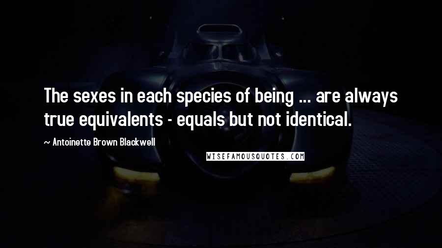 Antoinette Brown Blackwell Quotes: The sexes in each species of being ... are always true equivalents - equals but not identical.