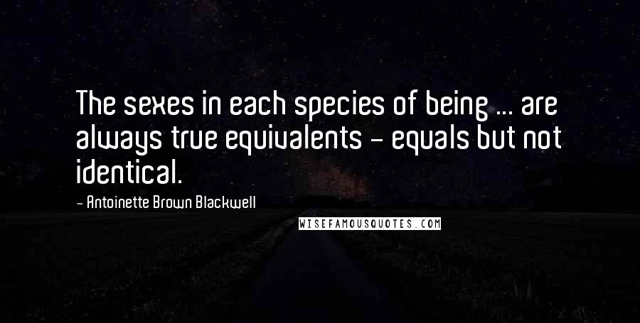 Antoinette Brown Blackwell Quotes: The sexes in each species of being ... are always true equivalents - equals but not identical.