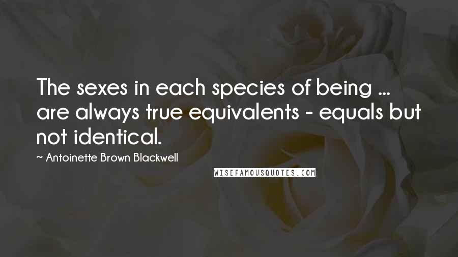 Antoinette Brown Blackwell Quotes: The sexes in each species of being ... are always true equivalents - equals but not identical.