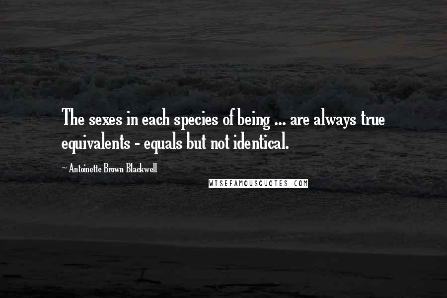 Antoinette Brown Blackwell Quotes: The sexes in each species of being ... are always true equivalents - equals but not identical.