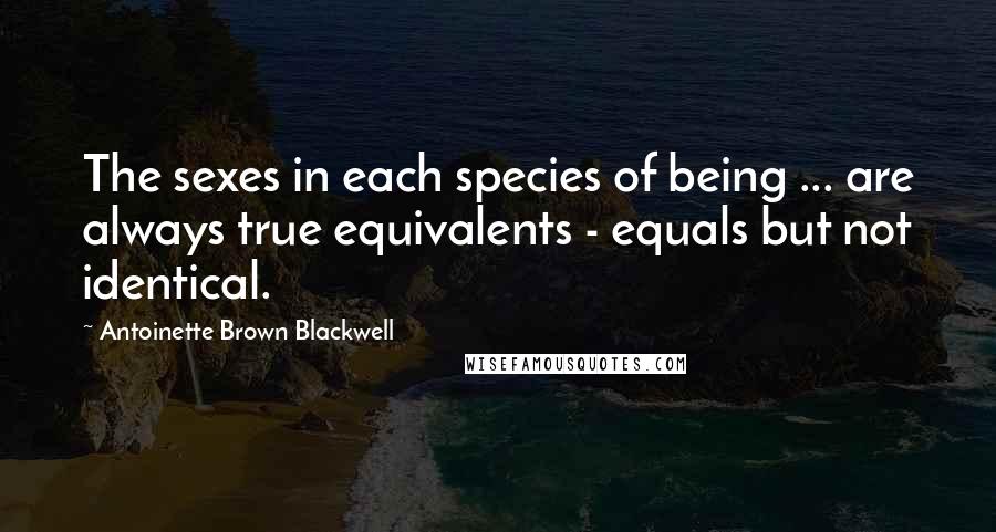 Antoinette Brown Blackwell Quotes: The sexes in each species of being ... are always true equivalents - equals but not identical.