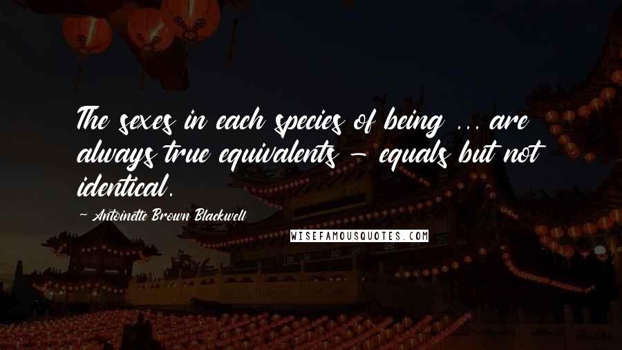 Antoinette Brown Blackwell Quotes: The sexes in each species of being ... are always true equivalents - equals but not identical.