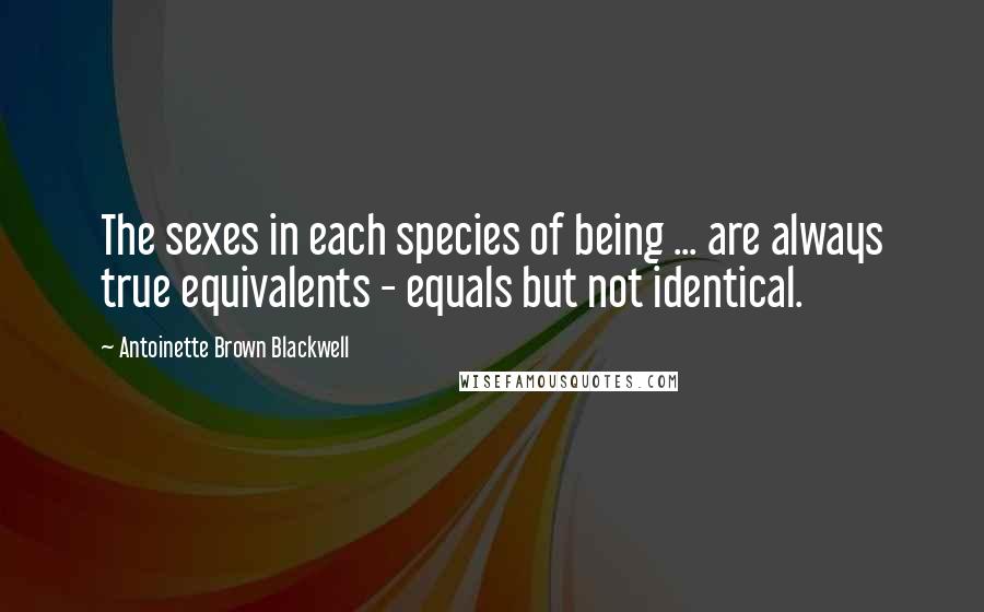 Antoinette Brown Blackwell Quotes: The sexes in each species of being ... are always true equivalents - equals but not identical.