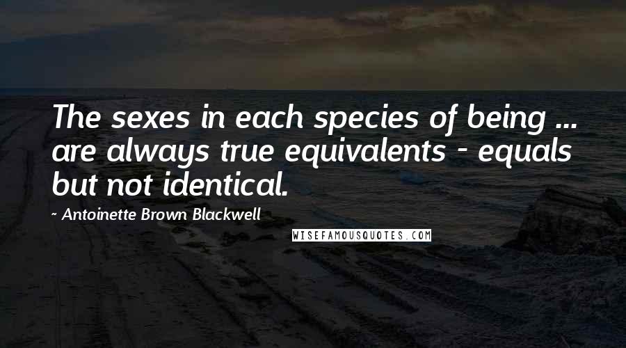 Antoinette Brown Blackwell Quotes: The sexes in each species of being ... are always true equivalents - equals but not identical.