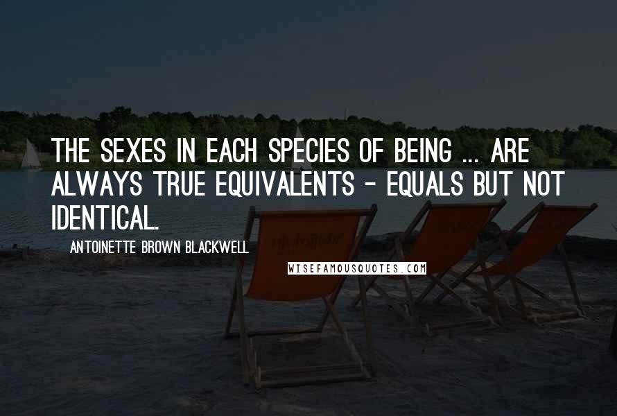 Antoinette Brown Blackwell Quotes: The sexes in each species of being ... are always true equivalents - equals but not identical.