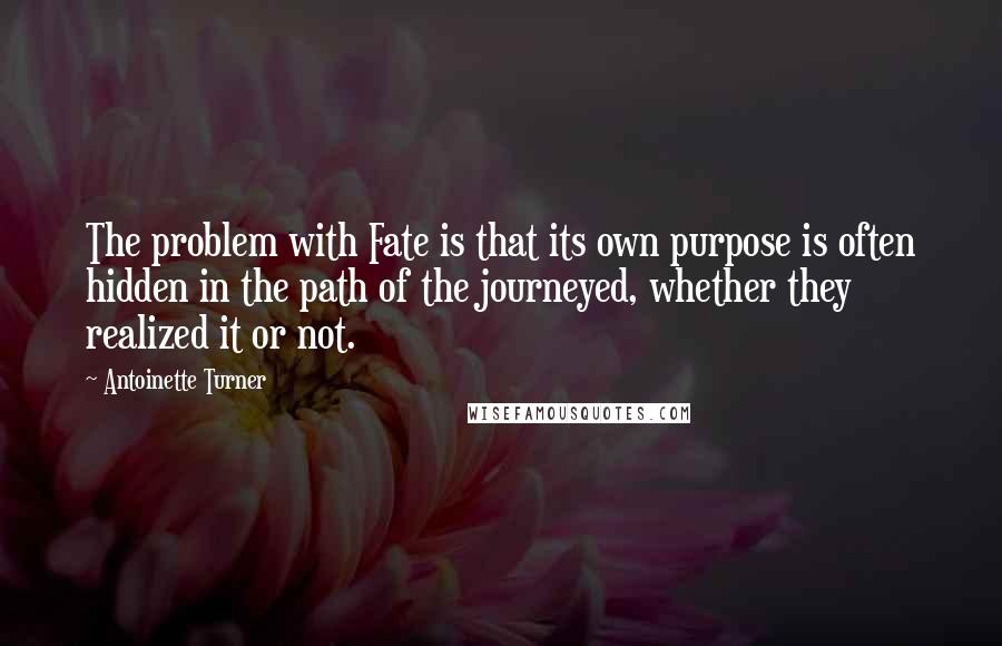 Antoinette Turner Quotes: The problem with Fate is that its own purpose is often hidden in the path of the journeyed, whether they realized it or not.