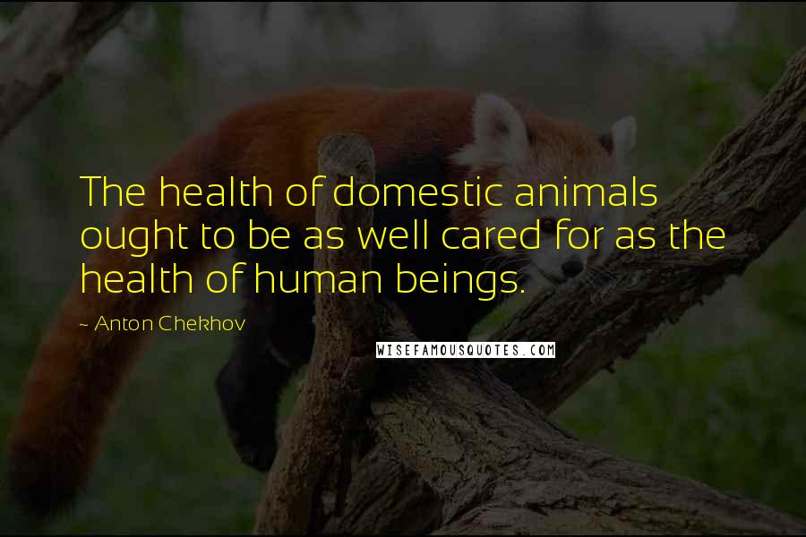 Anton Chekhov Quotes: The health of domestic animals ought to be as well cared for as the health of human beings.