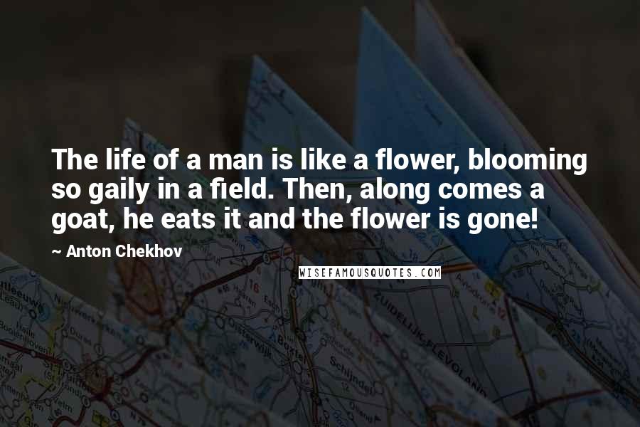 Anton Chekhov Quotes: The life of a man is like a flower, blooming so gaily in a field. Then, along comes a goat, he eats it and the flower is gone!