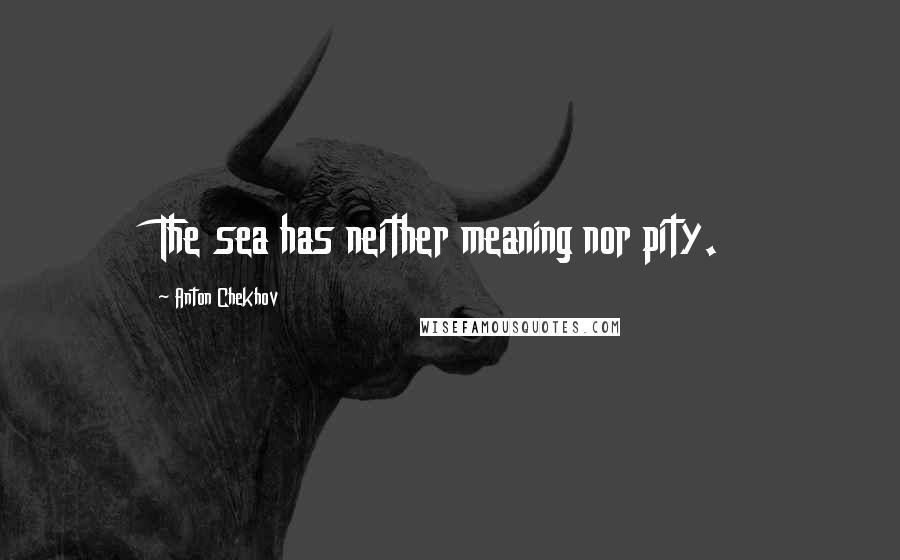 Anton Chekhov Quotes: The sea has neither meaning nor pity.