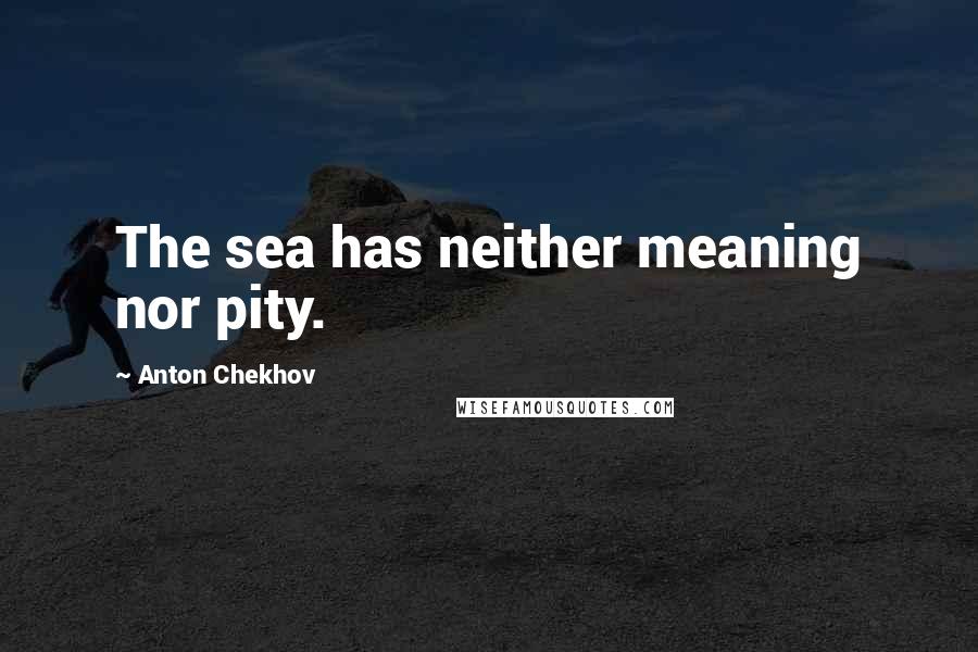 Anton Chekhov Quotes: The sea has neither meaning nor pity.