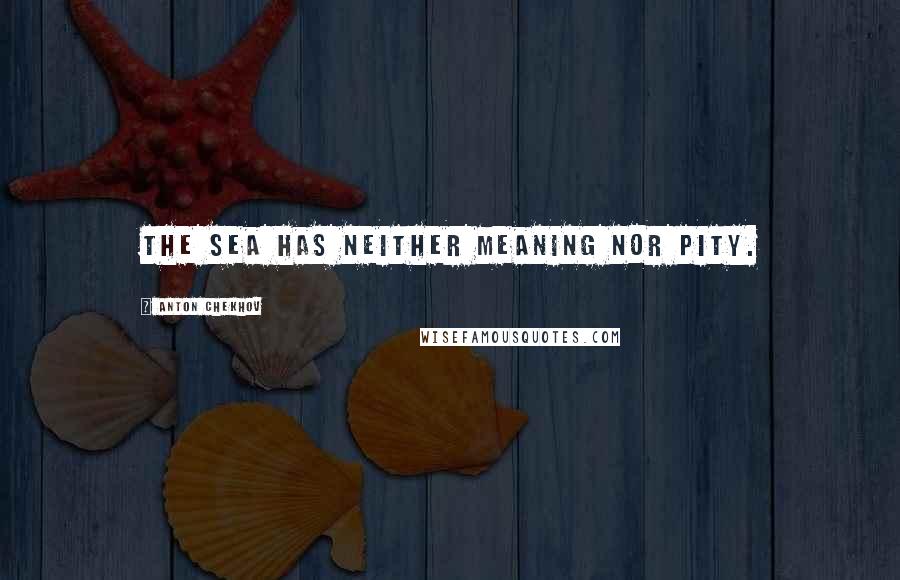 Anton Chekhov Quotes: The sea has neither meaning nor pity.