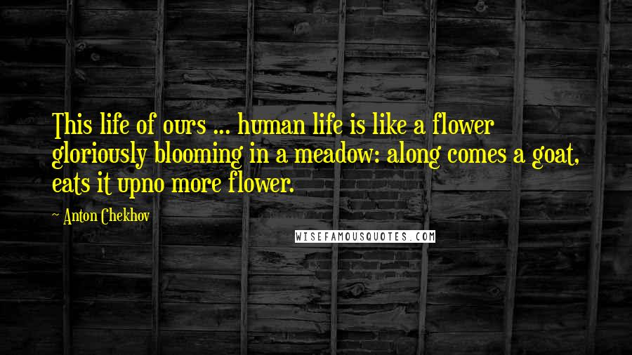 Anton Chekhov Quotes: This life of ours ... human life is like a flower gloriously blooming in a meadow: along comes a goat, eats it upno more flower.