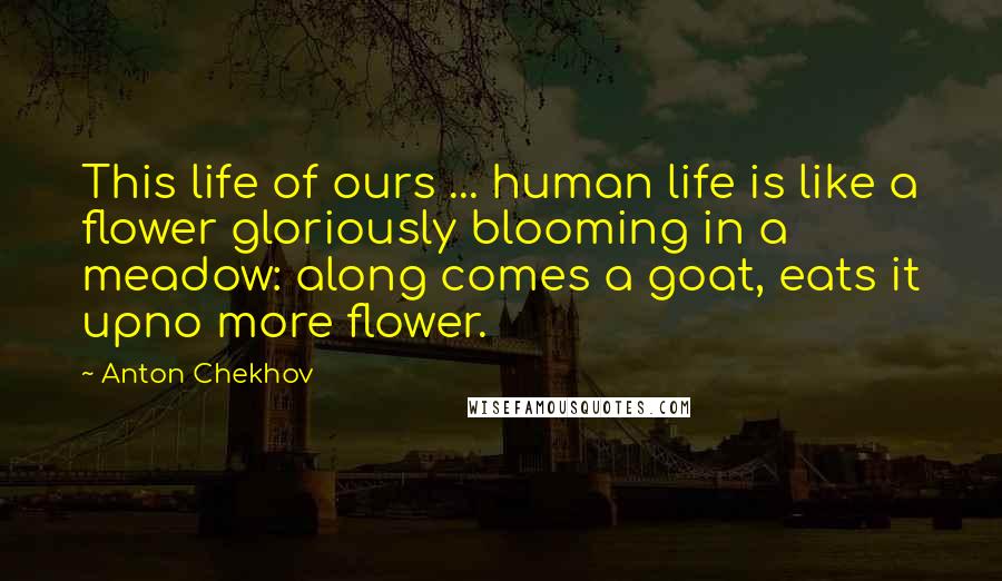 Anton Chekhov Quotes: This life of ours ... human life is like a flower gloriously blooming in a meadow: along comes a goat, eats it upno more flower.