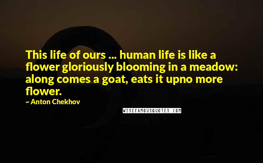 Anton Chekhov Quotes: This life of ours ... human life is like a flower gloriously blooming in a meadow: along comes a goat, eats it upno more flower.