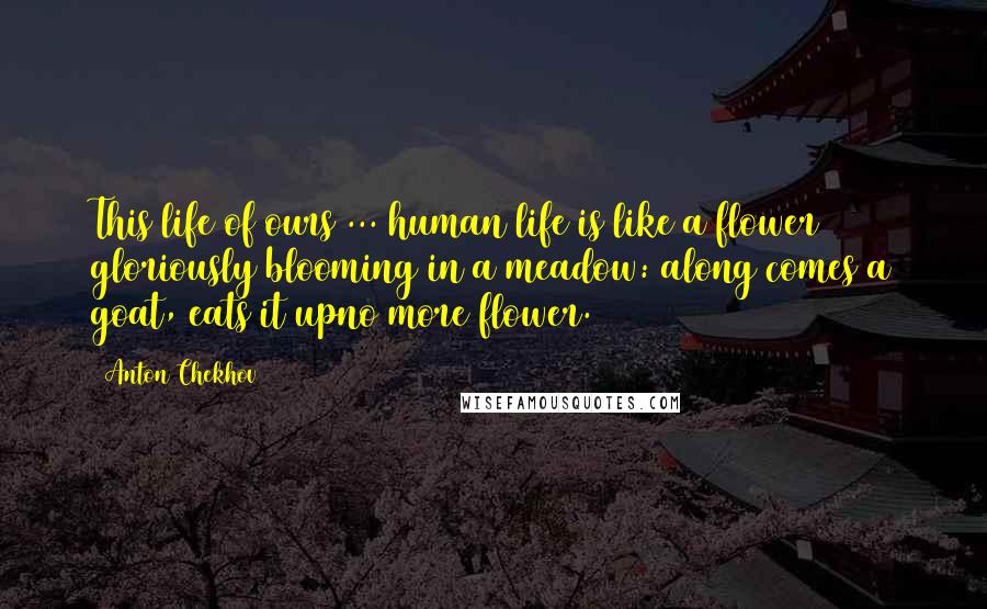 Anton Chekhov Quotes: This life of ours ... human life is like a flower gloriously blooming in a meadow: along comes a goat, eats it upno more flower.