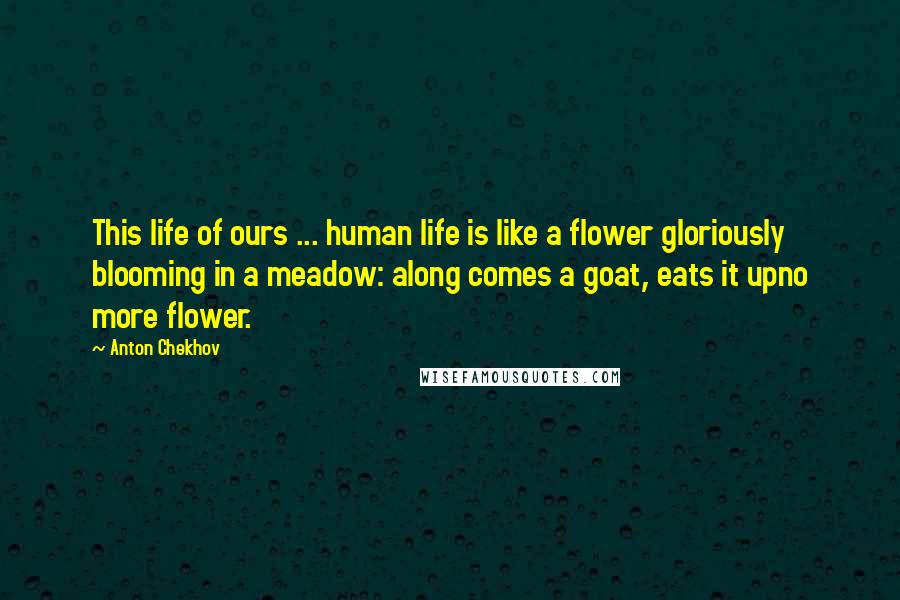 Anton Chekhov Quotes: This life of ours ... human life is like a flower gloriously blooming in a meadow: along comes a goat, eats it upno more flower.