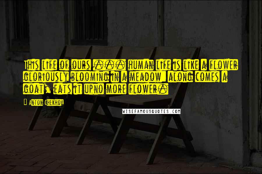 Anton Chekhov Quotes: This life of ours ... human life is like a flower gloriously blooming in a meadow: along comes a goat, eats it upno more flower.