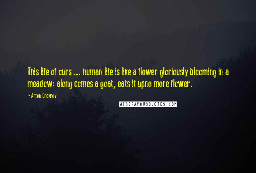 Anton Chekhov Quotes: This life of ours ... human life is like a flower gloriously blooming in a meadow: along comes a goat, eats it upno more flower.